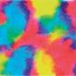roy-13_012